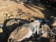 20060315.house.13.jpg