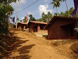 2005.03065.jpg