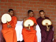 2005.03086.jpg